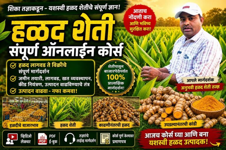 Turmeric Cultivation & Processing